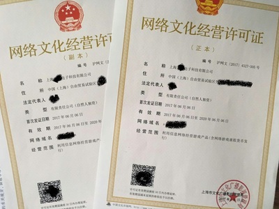 上海網絡文化經營許可證辦理全攻略 條件、流程與注意事項